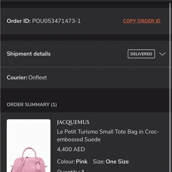 Jacquemus Turismo Small - Pink Suede - Picture 14 of 14